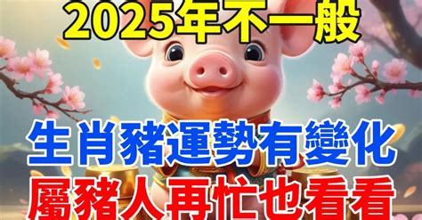 屬豬皮夾顏色|2025年屬豬適合什麼顏色皮夾？選擇指南與建議